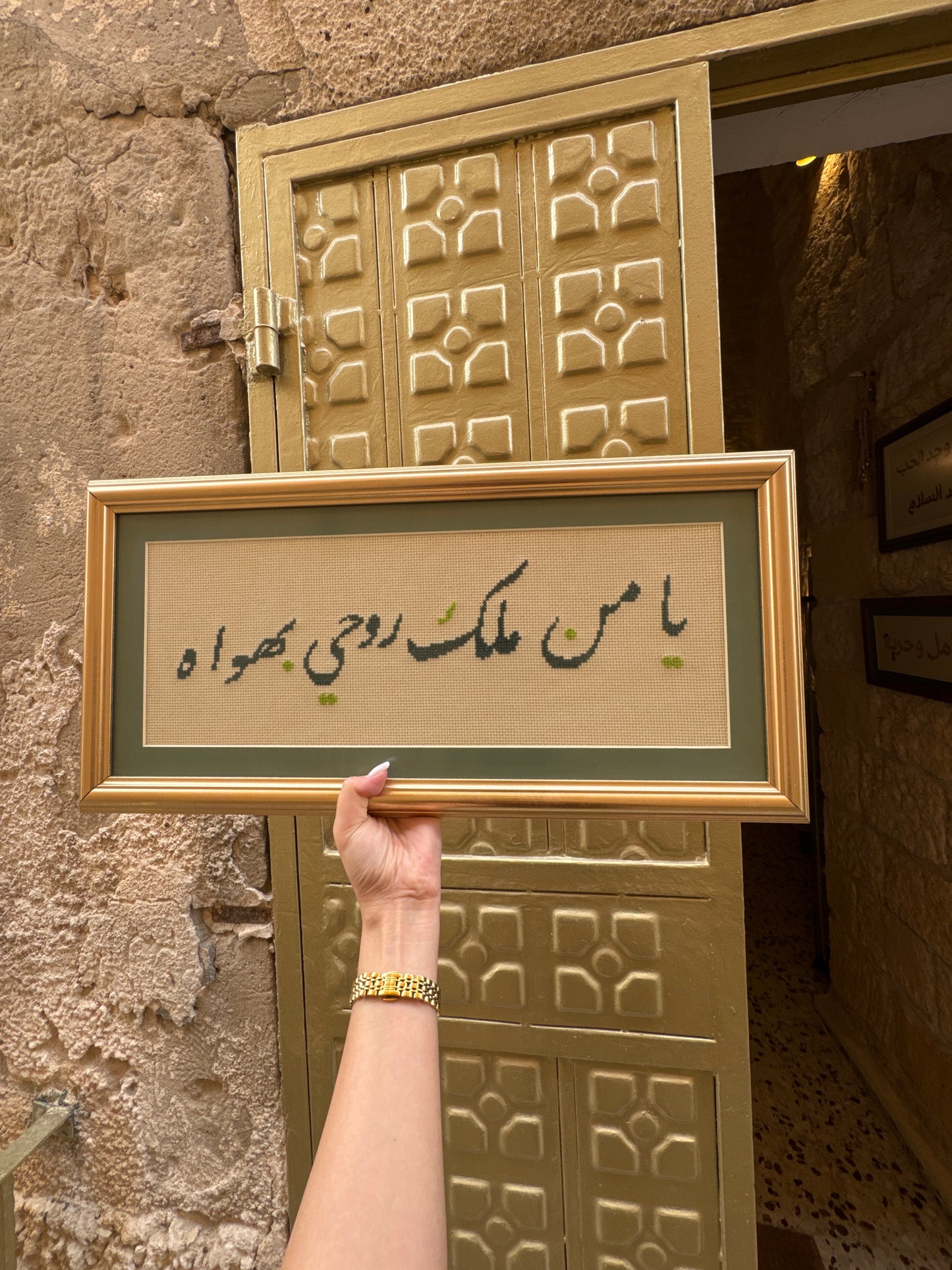 يا من ملك روحي بهواه