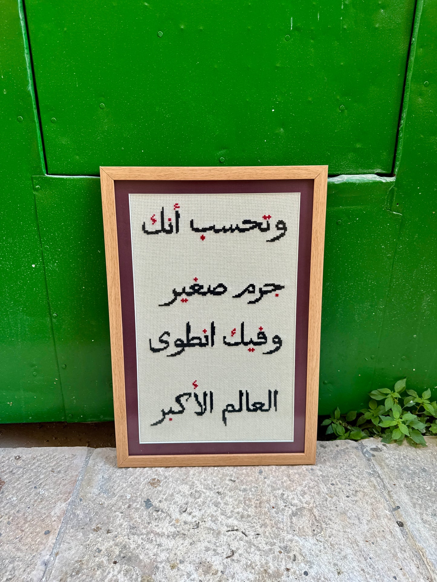 وَتَحْسَبُ أَنَّكَ جِرْمٌ صَغِيرٌ وَفِيكَ انْطَوَى الْعَالَمُ الْأَكْبَرُ