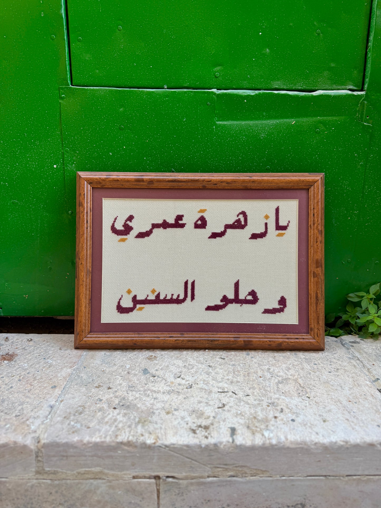 يا زَهْرَةَ عُمْرِي وَحُلْوَ السِّنِينَ